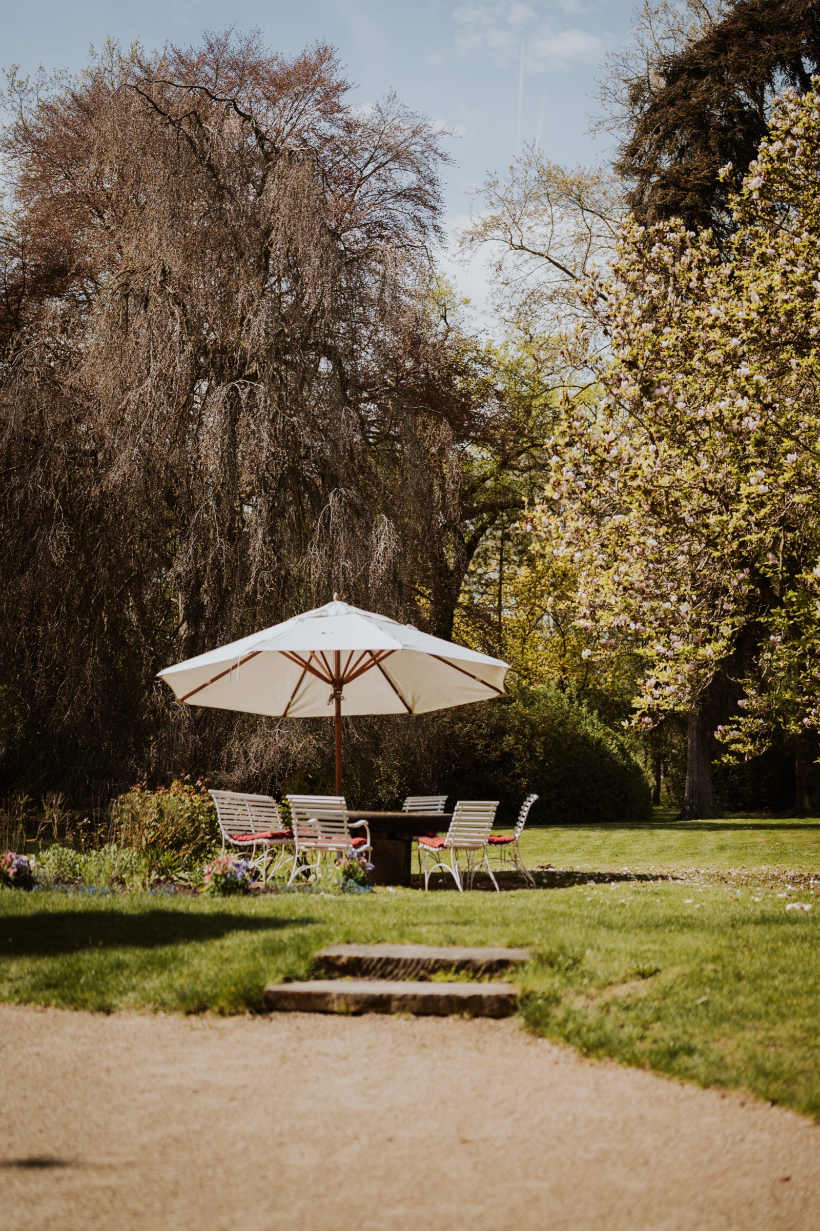 A summer garden.