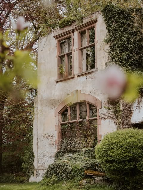 Instagram-Beitrag von EMC Wedding, Bild 5